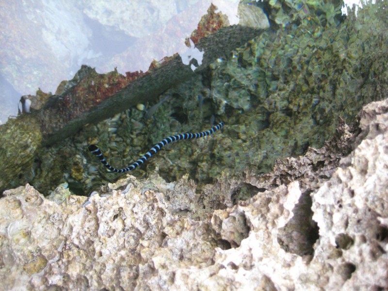 f:id:sisiuo0905:20120402162120j:image