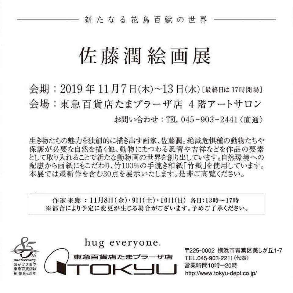 f:id:sisiuo0905:20191111134339j:plain